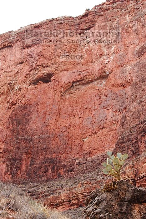 Hiking up the Bright Angel trail from Bright Angel campground to Indian Garden campground, while backpacking the Grand Canyon with Beth, Saturday, January 3, 2009.
Filename: SRM_20090103_15541044.JPG
Aperture: f/11.0
Shutter Speed: 1/50
Body: Canon EOS-1D Mark II
Lens: Canon EF 100-400mm f/4.5-5.6 L IS USM