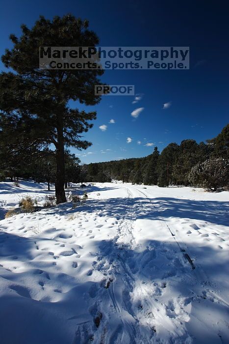 Hike up the Bright Angel trail from Indian Gardens campground, while backpacking the Grand Canyon, on Sunday, January 4, 2009.
Filename: SRM_20090104_13081673.JPG
Aperture: f/11.0
Shutter Speed: 1/160
Body: Canon EOS-1D Mark II
Lens: Canon EF 16-35mm f/2.8 L