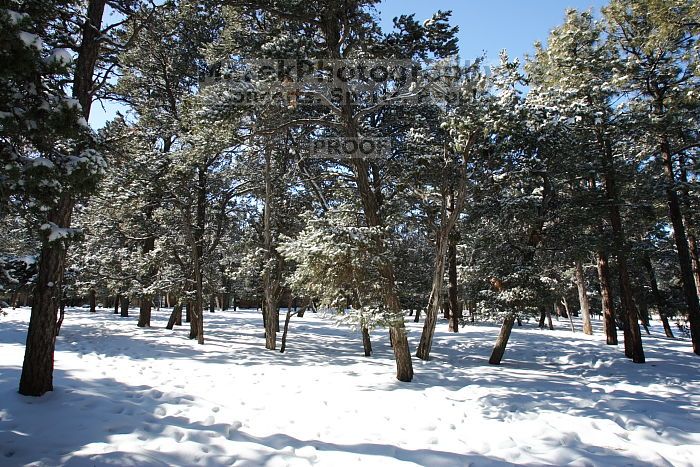 Hike up the Bright Angel trail from Indian Gardens campground, while backpacking the Grand Canyon, on Sunday, January 4, 2009.
Filename: SRM_20090104_13095776.JPG
Aperture: f/11.0
Shutter Speed: 1/50
Body: Canon EOS-1D Mark II
Lens: Canon EF 16-35mm f/2.8 L