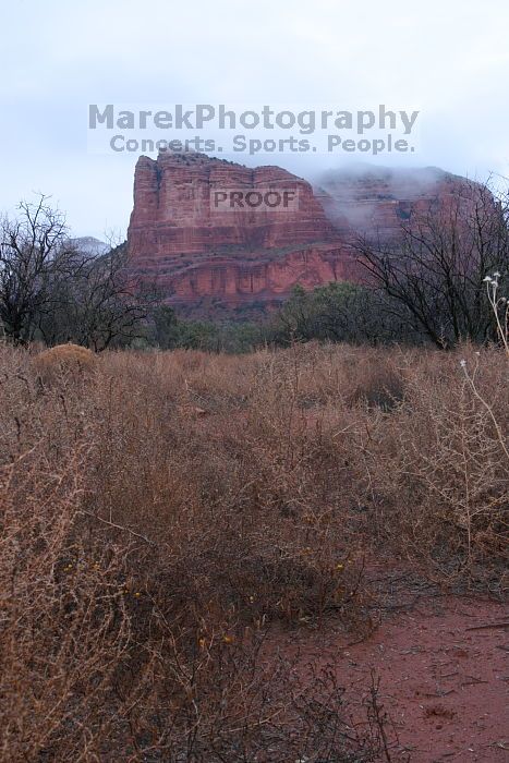View from behind our bed and breakfast in Sedona, after backpacking the Grand Canyon, Sunday, January 4, 2009.
Filename: SRM_20090104_17393226.JPG
Aperture: f/16.0
Shutter Speed: 371/10
Body: Canon EOS-1D Mark II
Lens: Canon EF 16-35mm f/2.8 L