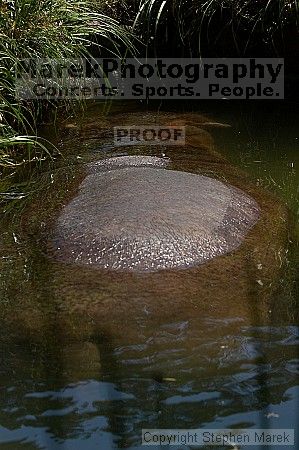 Visit to San Francisco Zoo.

Filename: srm_20050529_170406_0_std.jpg
Aperture: f/5.6
Shutter Speed: 1/1250
Body: Canon EOS 20D
Lens: Canon EF 80-200mm f/2.8 L