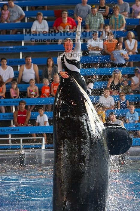 Shamu and Namu in the Believe show at Sea World, San Antonio.

Filename: SRM_20060423_124418_7.jpg
Aperture: f/4.0
Shutter Speed: 1/200
Body: Canon EOS 20D
Lens: Canon EF 80-200mm f/2.8 L