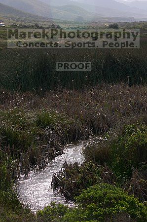 

Filename: CRW_8901.jpg
Aperture: f/9.0
Shutter Speed: 1/250
Body: Canon EOS DIGITAL REBEL
Lens: Canon EF 80-200mm f/2.8 L