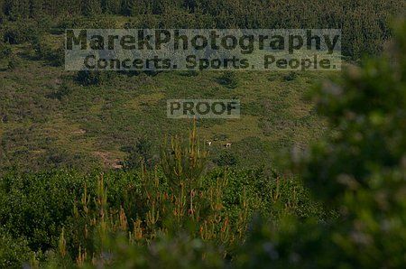 

Filename: CRW_8884.jpg
Aperture: f/7.1
Shutter Speed: 1/320
Body: Canon EOS DIGITAL REBEL
Lens: Canon EF 80-200mm f/2.8 L