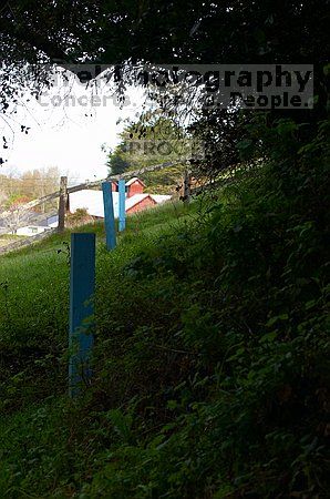 

Filename: CRW_8912.jpg
Aperture: f/6.3
Shutter Speed: 1/250
Body: Canon EOS DIGITAL REBEL
Lens: Canon EF 80-200mm f/2.8 L