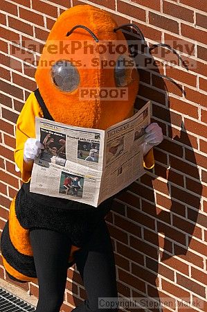 

Filename: crw_9539_std.jpg
Aperture: f/14.0
Shutter Speed: 1/100
Body: Canon EOS DIGITAL REBEL
Lens: Canon EF 80-200mm f/2.8 L