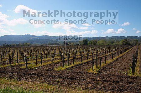 

Filename: CRW_8704.jpg
Aperture: f/14.0
Shutter Speed: 1/100
Body: Canon EOS DIGITAL REBEL
Lens: Canon EF-S 18-55mm f/3.5-5.6