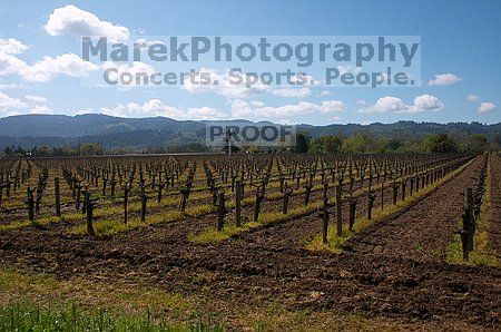 

Filename: CRW_8705.jpg
Aperture: f/20.0
Shutter Speed: 1/100
Body: Canon EOS DIGITAL REBEL
Lens: Canon EF-S 18-55mm f/3.5-5.6