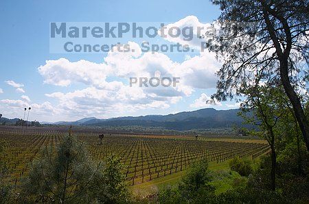 

Filename: CRW_8720.jpg
Aperture: f/20.0
Shutter Speed: 1/60
Body: Canon EOS DIGITAL REBEL
Lens: Canon EF-S 18-55mm f/3.5-5.6