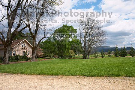 

Filename: CRW_8729.jpg
Aperture: f/22.0
Shutter Speed: 1/60
Body: Canon EOS DIGITAL REBEL
Lens: Canon EF-S 18-55mm f/3.5-5.6