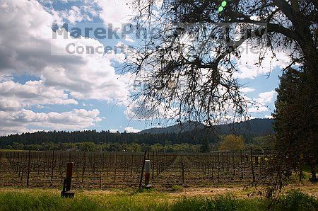 

Filename: CRW_8730.jpg
Aperture: f/16.0
Shutter Speed: 1/60
Body: Canon EOS DIGITAL REBEL
Lens: Canon EF-S 18-55mm f/3.5-5.6