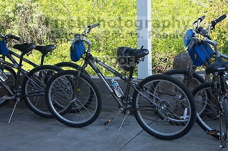 

Filename: CRW_8715.jpg
Aperture: f/10.0
Shutter Speed: 1/60
Body: Canon EOS DIGITAL REBEL
Lens: Canon EF-S 18-55mm f/3.5-5.6