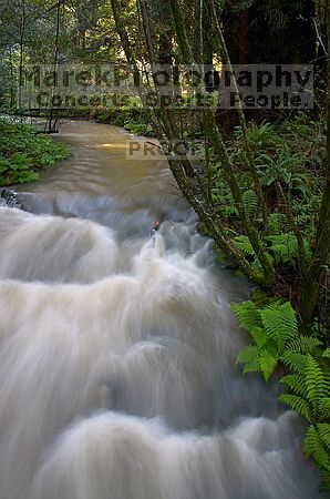 

Filename: CRW_8634.jpg
Aperture: f/11.0
Shutter Speed: 1/1
Body: Canon EOS DIGITAL REBEL
Lens: Canon EF-S 18-55mm f/3.5-5.6