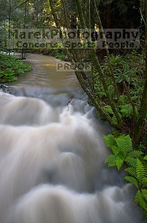 

Filename: CRW_8633.jpg
Aperture: f/22.0
Shutter Speed: 4/1
Body: Canon EOS DIGITAL REBEL
Lens: Canon EF-S 18-55mm f/3.5-5.6