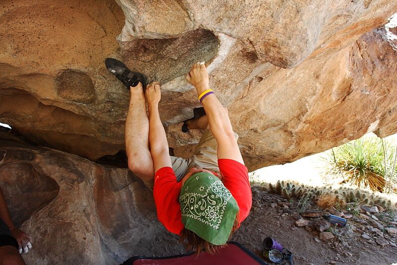 Steve Marek rock climbing on No One Gets Out of Here Alive (V2) in Hueco Tanks State Park and Historic Site during the Hueco Tanks Awesome Fest 2010 trip, Saturday, May 22, 2010.

Filename: SRM_20100522_15181693.JPG
Aperture: f/5.6
Shutter Speed: 1/200
Body: Canon EOS-1D Mark II
Lens: Canon EF 16-35mm f/2.8 L