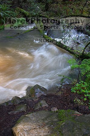 

Filename: CRW_8668.jpg
Aperture: f/5.6
Shutter Speed: 1/4
Body: Canon EOS DIGITAL REBEL
Lens: Canon EF-S 18-55mm f/3.5-5.6