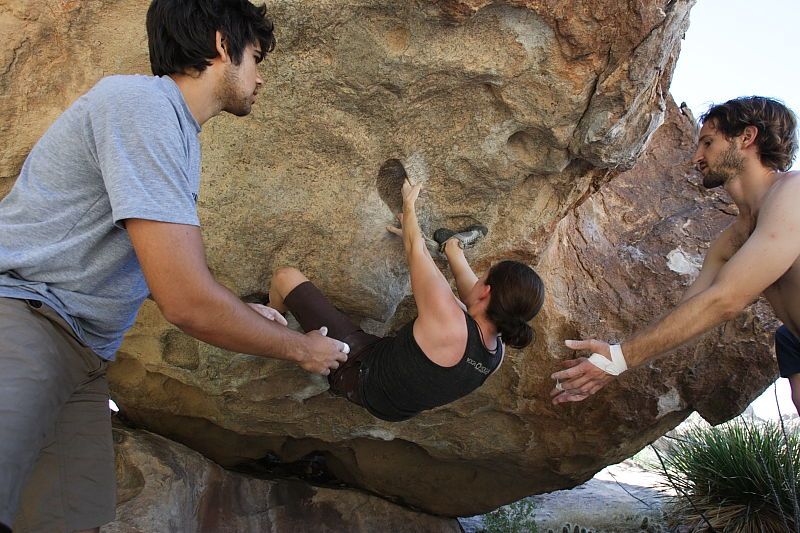 Beth Marek rock climbing on No One Gets Out of Here Alive (V2) in Hueco Tanks State Park and Historic Site during the Hueco Tanks Awesome Fest 2010 trip, Sunday, May 23, 2010.
Filename: SRM_20100523_10542866.JPG
Aperture: f/5.6
Shutter Speed: 1/320
Body: Canon EOS-1D Mark II
Lens: Canon EF 16-35mm f/2.8 L