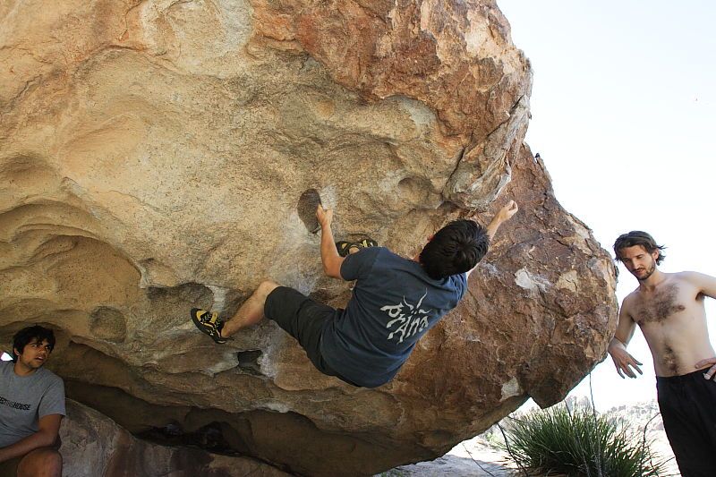 Raanan Robertson rock climbing on No One Gets Out of Here Alive (V2) in Hueco Tanks State Park and Historic Site during the Hueco Tanks Awesome Fest 2010 trip, Sunday, May 23, 2010.
Filename: SRM_20100523_10565594.JPG
Aperture: f/5.6
Shutter Speed: 1/640
Body: Canon EOS-1D Mark II
Lens: Canon EF 16-35mm f/2.8 L
