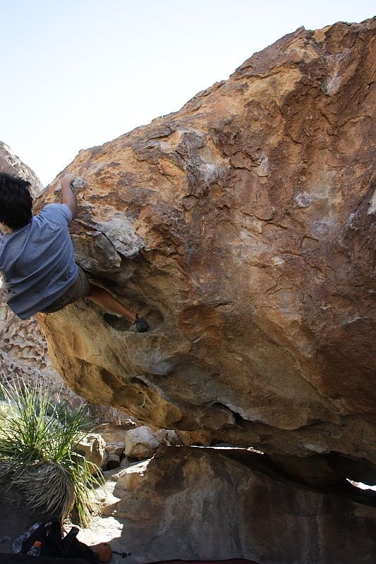 Cayce Wilson rock climbing on No One Gets Out of Here Alive (V2) in Hueco Tanks State Park and Historic Site during the Hueco Tanks Awesome Fest 2010 trip, Sunday, May 23, 2010.

Filename: SRM_20100523_11035343.JPG
Aperture: f/5.6
Shutter Speed: 1/500
Body: Canon EOS-1D Mark II
Lens: Canon EF 16-35mm f/2.8 L
