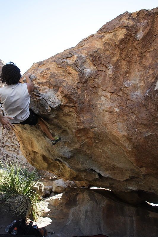 Javier Morales rock climbing on No One Gets Out of Here Alive (V2) in Hueco Tanks State Park and Historic Site during the Hueco Tanks Awesome Fest 2010 trip, Sunday, May 23, 2010.
Filename: SRM_20100523_11080196.JPG
Aperture: f/5.6
Shutter Speed: 1/500
Body: Canon EOS-1D Mark II
Lens: Canon EF 16-35mm f/2.8 L
