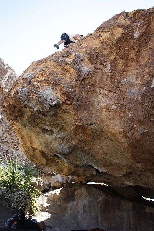 Javier Morales rock climbing on No One Gets Out of Here Alive (V2) in Hueco Tanks State Park and Historic Site during the Hueco Tanks Awesome Fest 2010 trip, Sunday, May 23, 2010.
Filename: SRM_20100523_11083609.JPG
Aperture: f/5.6
Shutter Speed: 1/500
Body: Canon EOS-1D Mark II
Lens: Canon EF 16-35mm f/2.8 L