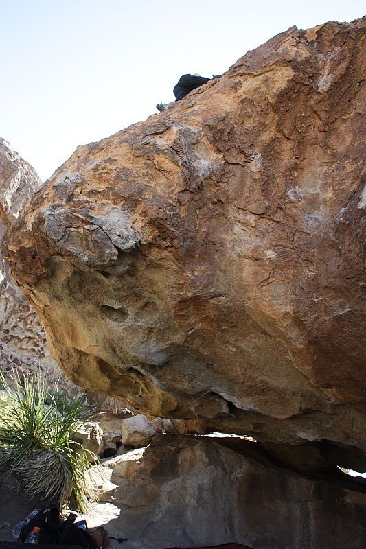 Javier Morales rock climbing on No One Gets Out of Here Alive (V2) in Hueco Tanks State Park and Historic Site during the Hueco Tanks Awesome Fest 2010 trip, Sunday, May 23, 2010.
Filename: SRM_20100523_11083810.JPG
Aperture: f/5.6
Shutter Speed: 1/500
Body: Canon EOS-1D Mark II
Lens: Canon EF 16-35mm f/2.8 L