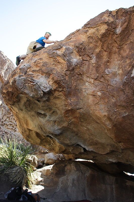 Steve Marek rock climbing on No One Gets Out of Here Alive (V2) in Hueco Tanks State Park and Historic Site during the Hueco Tanks Awesome Fest 2010 trip, Sunday, May 23, 2010.
Filename: SRM_20100523_11120235.JPG
Aperture: f/5.6
Shutter Speed: 1/500
Body: Canon EOS-1D Mark II
Lens: Canon EF 16-35mm f/2.8 L