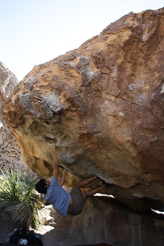 Cayce Wilson rock climbing on No One Gets Out of Here Alive (V2) in Hueco Tanks State Park and Historic Site during the Hueco Tanks Awesome Fest 2010 trip, Sunday, May 23, 2010.
Filename: SRM_20100523_11154949.JPG
Aperture: f/5.6
Shutter Speed: 1/500
Body: Canon EOS-1D Mark II
Lens: Canon EF 16-35mm f/2.8 L