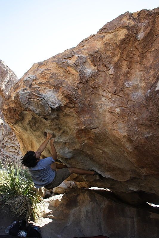 Cayce Wilson rock climbing on No One Gets Out of Here Alive (V2) in Hueco Tanks State Park and Historic Site during the Hueco Tanks Awesome Fest 2010 trip, Sunday, May 23, 2010.
Filename: SRM_20100523_11155650.JPG
Aperture: f/5.6
Shutter Speed: 1/500
Body: Canon EOS-1D Mark II
Lens: Canon EF 16-35mm f/2.8 L