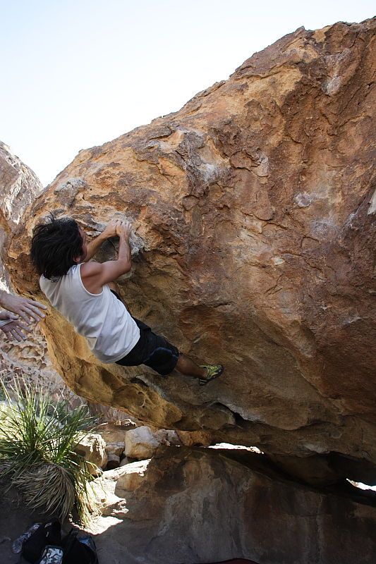 Javier Morales rock climbing on No One Gets Out of Here Alive (V2) in Hueco Tanks State Park and Historic Site during the Hueco Tanks Awesome Fest 2010 trip, Sunday, May 23, 2010.
Filename: SRM_20100523_11203273.JPG
Aperture: f/5.6
Shutter Speed: 1/500
Body: Canon EOS-1D Mark II
Lens: Canon EF 16-35mm f/2.8 L