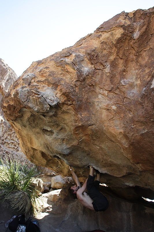 Andrew Dreher rock climbing on No One Gets Out of Here Alive (V2) in Hueco Tanks State Park and Historic Site during the Hueco Tanks Awesome Fest 2010 trip, Sunday, May 23, 2010.
Filename: SRM_20100523_11223076.JPG
Aperture: f/5.6
Shutter Speed: 1/500
Body: Canon EOS-1D Mark II
Lens: Canon EF 16-35mm f/2.8 L