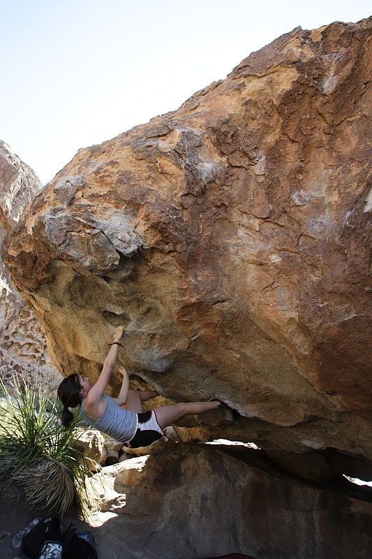 Sarah Williams rock climbing on No One Gets Out of Here Alive (V2) in Hueco Tanks State Park and Historic Site during the Hueco Tanks Awesome Fest 2010 trip, Sunday, May 23, 2010.
Filename: SRM_20100523_11241201.JPG
Aperture: f/5.6
Shutter Speed: 1/500
Body: Canon EOS-1D Mark II
Lens: Canon EF 16-35mm f/2.8 L