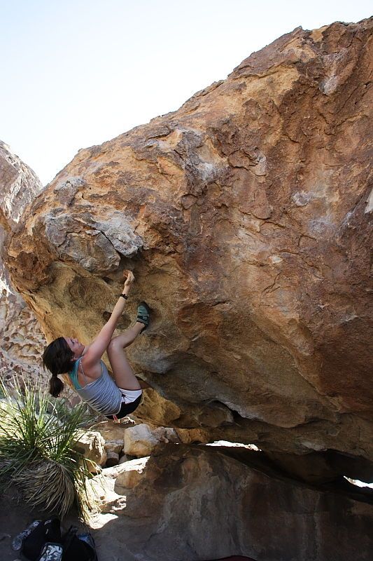 Sarah Williams rock climbing on No One Gets Out of Here Alive (V2) in Hueco Tanks State Park and Historic Site during the Hueco Tanks Awesome Fest 2010 trip, Sunday, May 23, 2010.
Filename: SRM_20100523_11241804.JPG
Aperture: f/5.6
Shutter Speed: 1/500
Body: Canon EOS-1D Mark II
Lens: Canon EF 16-35mm f/2.8 L