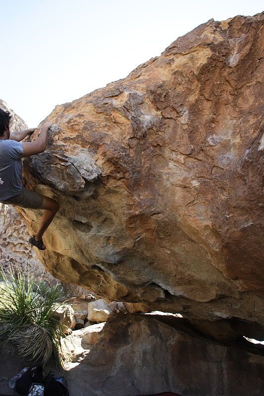 Cayce Wilson rock climbing on No One Gets Out of Here Alive (V2) in Hueco Tanks State Park and Historic Site during the Hueco Tanks Awesome Fest 2010 trip, Sunday, May 23, 2010.
Filename: SRM_20100523_11295236.JPG
Aperture: f/5.6
Shutter Speed: 1/500
Body: Canon EOS-1D Mark II
Lens: Canon EF 16-35mm f/2.8 L
