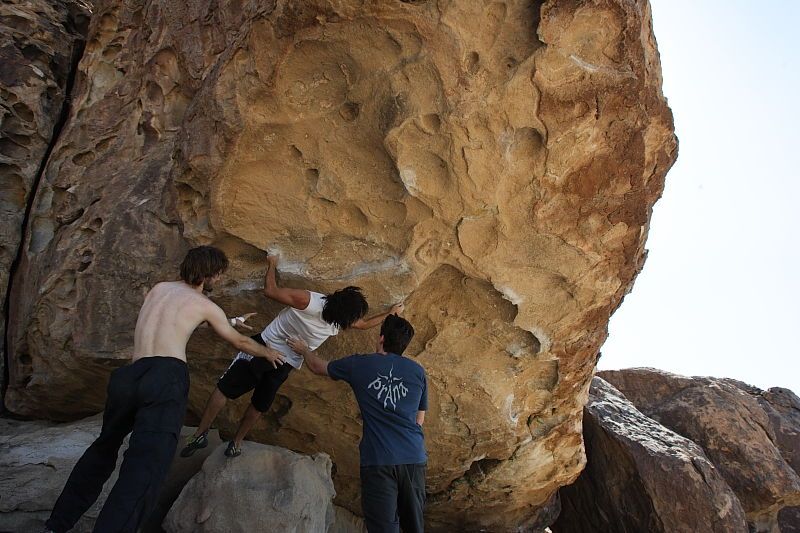Javier Morales rock climbing in Hueco Tanks State Park and Historic Site during the Hueco Tanks Awesome Fest 2010 trip, Sunday, May 23, 2010.
Filename: SRM_20100523_11491052.JPG
Aperture: f/8.0
Shutter Speed: 1/500
Body: Canon EOS-1D Mark II
Lens: Canon EF 16-35mm f/2.8 L