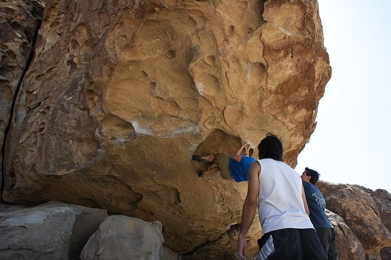 Steve Marek rock climbing in Hueco Tanks State Park and Historic Site during the Hueco Tanks Awesome Fest 2010 trip, Sunday, May 23, 2010.
Filename: SRM_20100523_11580173.JPG
Aperture: f/8.0
Shutter Speed: 1/500
Body: Canon EOS-1D Mark II
Lens: Canon EF 16-35mm f/2.8 L