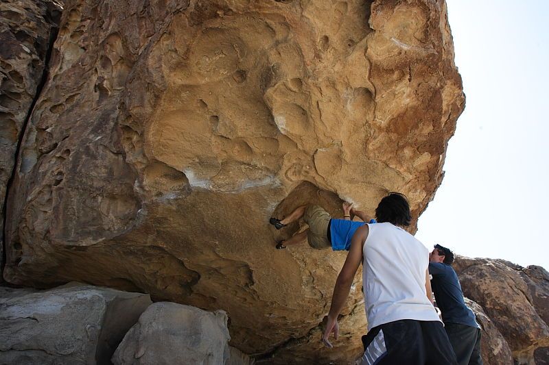 Steve Marek rock climbing in Hueco Tanks State Park and Historic Site during the Hueco Tanks Awesome Fest 2010 trip, Sunday, May 23, 2010.
Filename: SRM_20100523_11580474.JPG
Aperture: f/8.0
Shutter Speed: 1/500
Body: Canon EOS-1D Mark II
Lens: Canon EF 16-35mm f/2.8 L