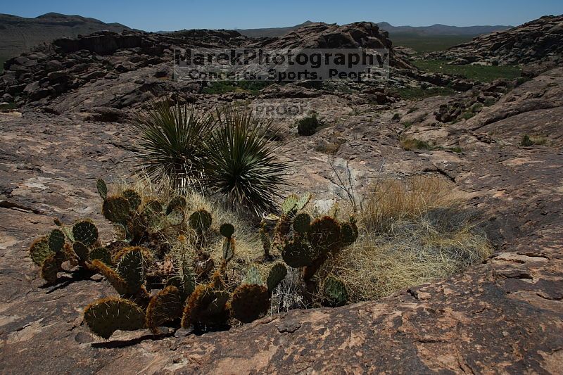 Rock climbing in Hueco Tanks State Park and Historic Site during the Hueco Tanks Awesome Fest 2010 trip, Monday, May 24, 2010.
Filename: SRM_20100524_13143529.JPG
Aperture: f/8.0
Shutter Speed: 1/320
Body: Canon EOS-1D Mark II
Lens: Canon EF 16-35mm f/2.8 L