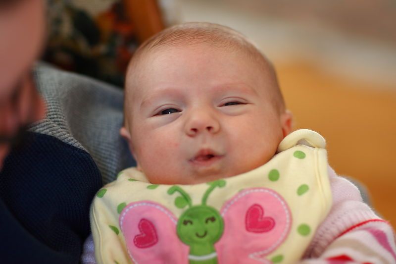 

Filename: SRM_20110109_11015122.JPG
Aperture: f/1.8
Shutter Speed: 1/80
Body: Canon EOS-1D Mark II
Lens: Canon EF 85mm f/1.2 L II