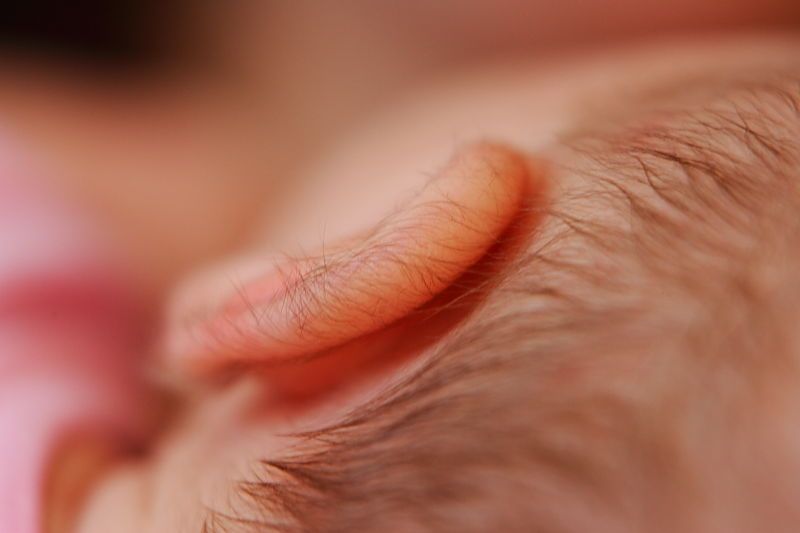 

Filename: SRM_20110109_14150050.JPG
Aperture: f/4.0
Shutter Speed: 1/40
Body: Canon EOS-1D Mark II
Lens: Canon EF 70-200mm f/2.8 L IS