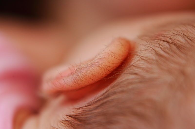 

Filename: SRM_20110109_14150051.JPG
Aperture: f/4.0
Shutter Speed: 1/40
Body: Canon EOS-1D Mark II
Lens: Canon EF 70-200mm f/2.8 L IS