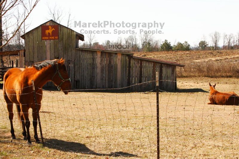Bouldering in the southeast during Spring Break 2013.

Filename: SRM_20130314_10465003.JPG
Aperture: f/16.0
Shutter Speed: 1/200
Body: Canon EOS-1D Mark II
Lens: Canon EF 70-200mm f/2.8 L IS