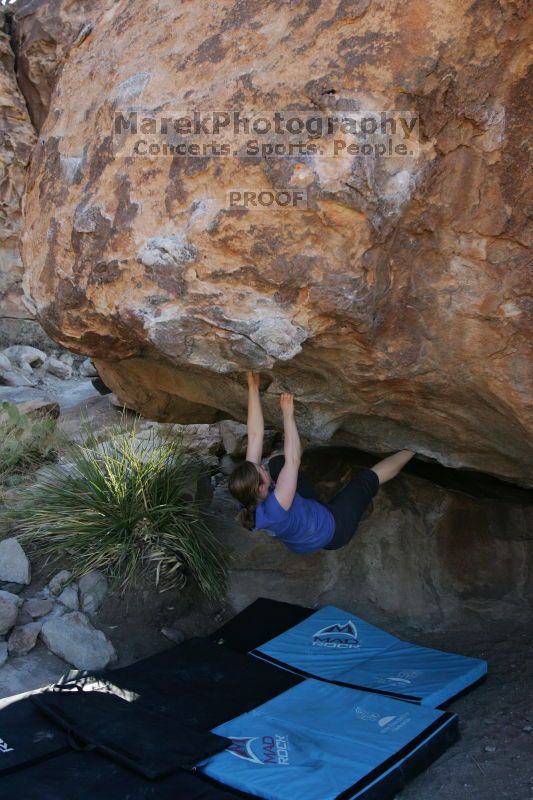 

Filename: SRM_20140528_1010401.JPG
Aperture: f/4.0
Shutter Speed: 1/800
Body: Canon EOS-1D Mark II
Lens: Canon EF 16-35mm f/2.8 L