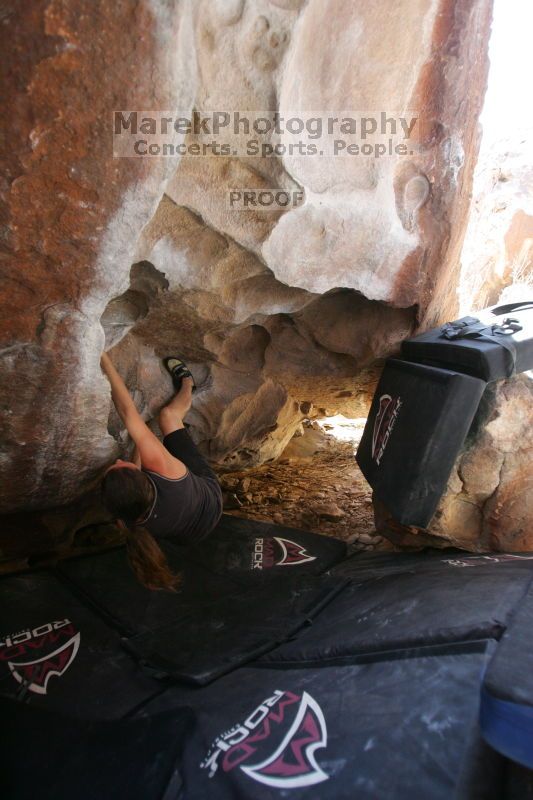 

Filename: SRM_20140528_1222422.JPG
Aperture: f/2.8
Shutter Speed: 1/320
Body: Canon EOS-1D Mark II
Lens: Canon EF 16-35mm f/2.8 L