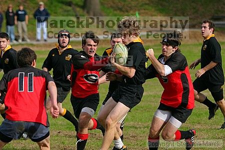 

Filename: img_6753_std.jpg
Aperture: f/4.0
Shutter Speed: 1/1250
Body: Canon EOS DIGITAL REBEL
Lens: Canon EF 80-200mm f/2.8 L