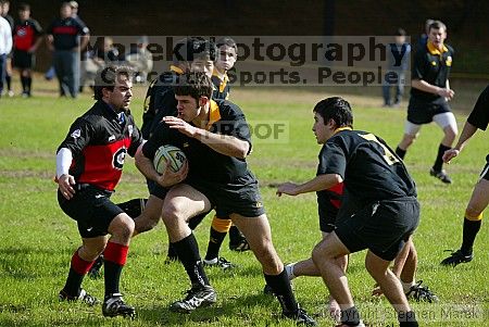 002263

Filename: 8d7a6503_std.jpg
Aperture: f/4.0
Shutter Speed: 1/1000
Body: Canon EOS-1D
Lens:  N/A