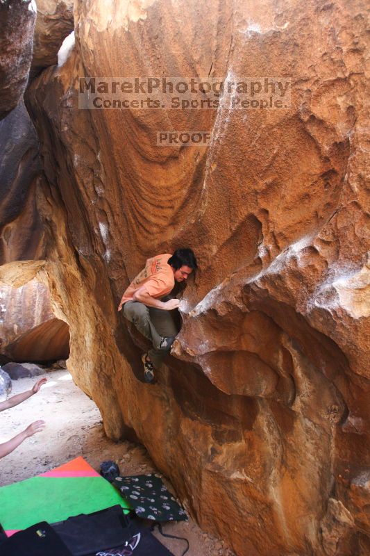 -

Filename: SRM_20160406_1546091.jpg
Aperture: f/2.8
Shutter Speed: 1/200
Body: Canon EOS 20D
Lens:  N/A