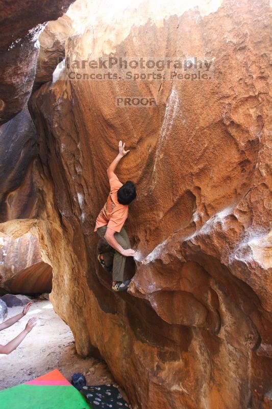 -

Filename: SRM_20160406_1546140.jpg
Aperture: f/2.8
Shutter Speed: 1/200
Body: Canon EOS 20D
Lens:  N/A