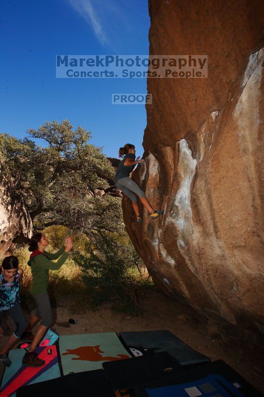 

Filename: SRM_20161120_1240230.jpg
Aperture: f/8.0
Shutter Speed: 1/250
Body: Canon EOS-1D Mark II
Lens: Canon EF 16-35mm f/2.8 L