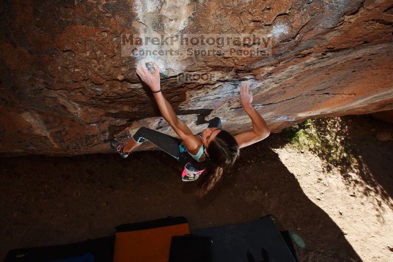 

Filename: SRM_20161120_1300500.jpg
Aperture: f/8.0
Shutter Speed: 1/250
Body: Canon EOS-1D Mark II
Lens: Canon EF 16-35mm f/2.8 L